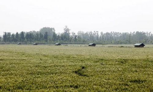 基建受阻，农业科技开发或将面临变数
