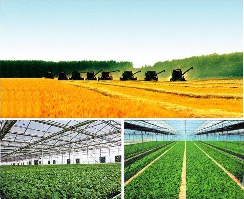 农业新引擎 技术驱动下的河南农业超越之路