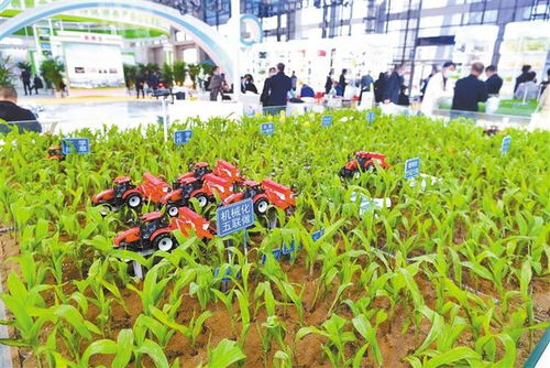 智慧农业 栽培种植技术的革新与未来开发路径