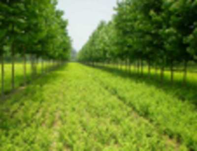 农业食品与农业种植技术开发 驱动可持续未来的双引擎