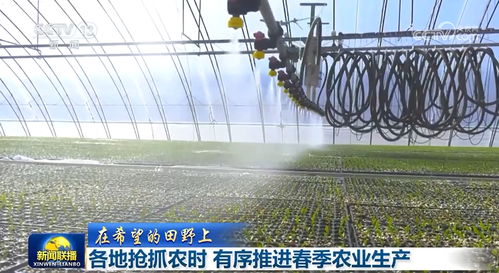 各地抢抓农时 有序推进春季农业生产 农业种植技术开发